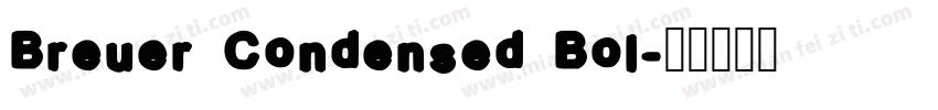 Breuer Condensed Bol字体转换
